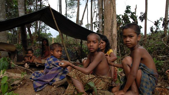 Suku Primitif Di Indonesia yang Terancam Punah