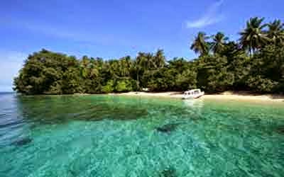  Kekayaan Papua Barat Yang Tak Ternilai Harganya 7 KEKAYAAN PAPUA BARAT YANG TAK TERNILAI HARGANYA