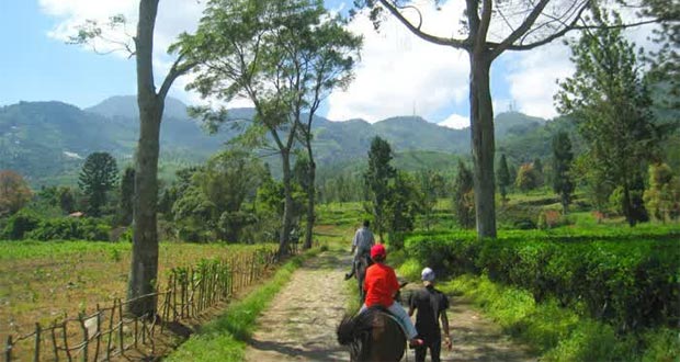 Tempat Wisata Alam Di Bogor Dan Sekitarnya 10 Tempat Wisata Alam Di Bogor Dan Sekitarnya Yang Menarik