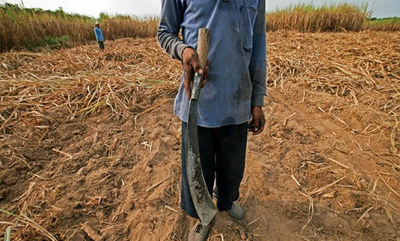  memang tidak bisa dipisahkan dari budaya masyarakat etnis Melayu di nusantara 5 Senjata Tradisional Riau, Gambar, dan Penjelasannya