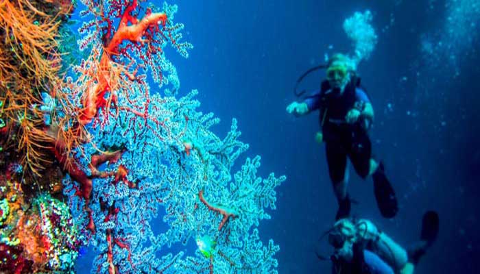 Menikmati Spot Diving Terbaik Di Pantai Tulamben  MENIKMATI SPOT DIVING TERBAIK DI PANTAI TULAMBEN