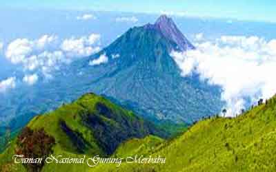  merupakan tanah yang di lindungi oleh negara dari perkembangan insan dan polusi 12 TAMAN NASIONAL DI PULAU JAWA