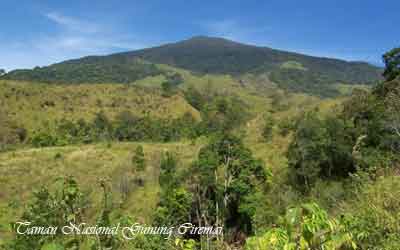  merupakan tanah yang di lindungi oleh negara dari perkembangan insan dan polusi 12 TAMAN NASIONAL DI PULAU JAWA