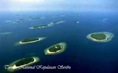  merupakan tanah yang di lindungi oleh negara dari perkembangan insan dan polusi 12 TAMAN NASIONAL DI PULAU JAWA