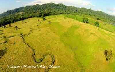  merupakan tanah yang di lindungi oleh negara dari perkembangan insan dan polusi 12 TAMAN NASIONAL DI PULAU JAWA